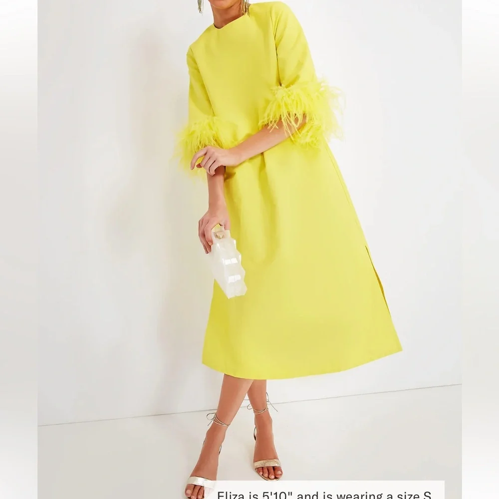 Citron Feather Jamie Dress Tuckernuck NEW
